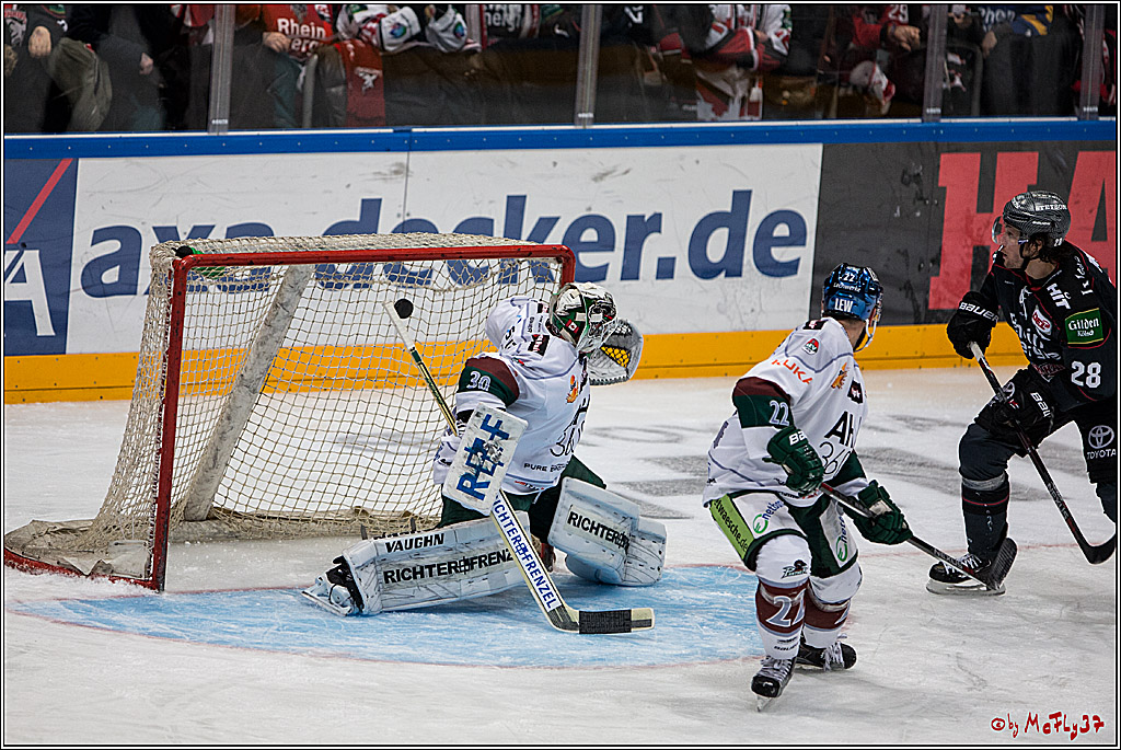 DEL, Koelner Haie - Augsburger Panther, 13.01.2017